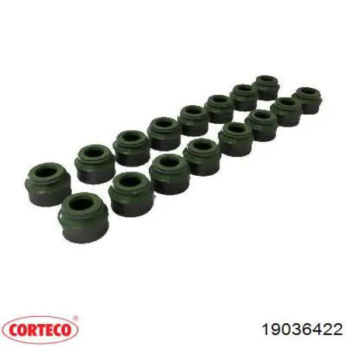 19036422 Corteco Колпачок маслосъёмный