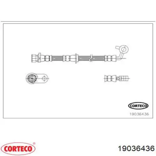 Шланг тормозной передний правый 19036436 Corteco