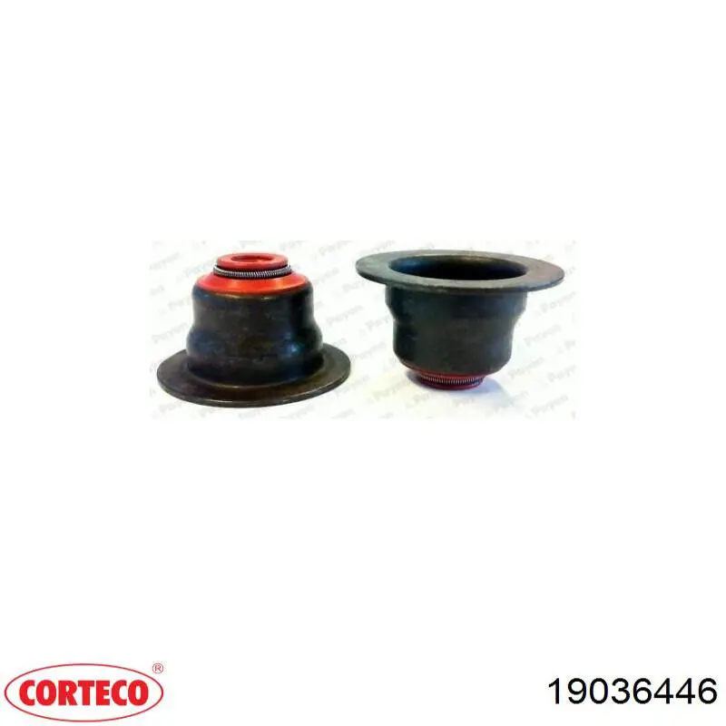 Маслосъемный сальник клапана впуск/выпуск Corteco 19036446 цена, от 1.50 USD