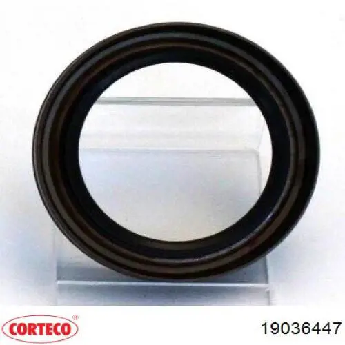 Сальник коленчатого вала Corteco 19036447 цена, от 15.61 USD
