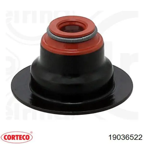 19036522 Corteco сальник клапана (маслосъемный, впуск/выпуск)