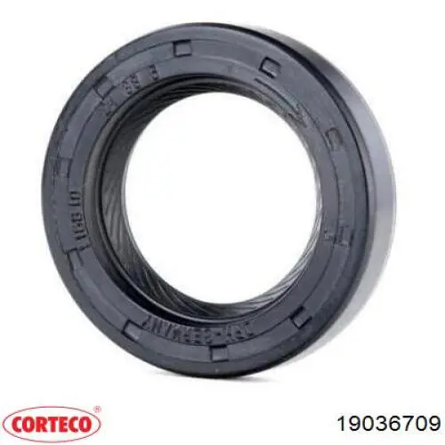 Сальник масляной помпы Corteco 19036709 цена, от 8.97 USD