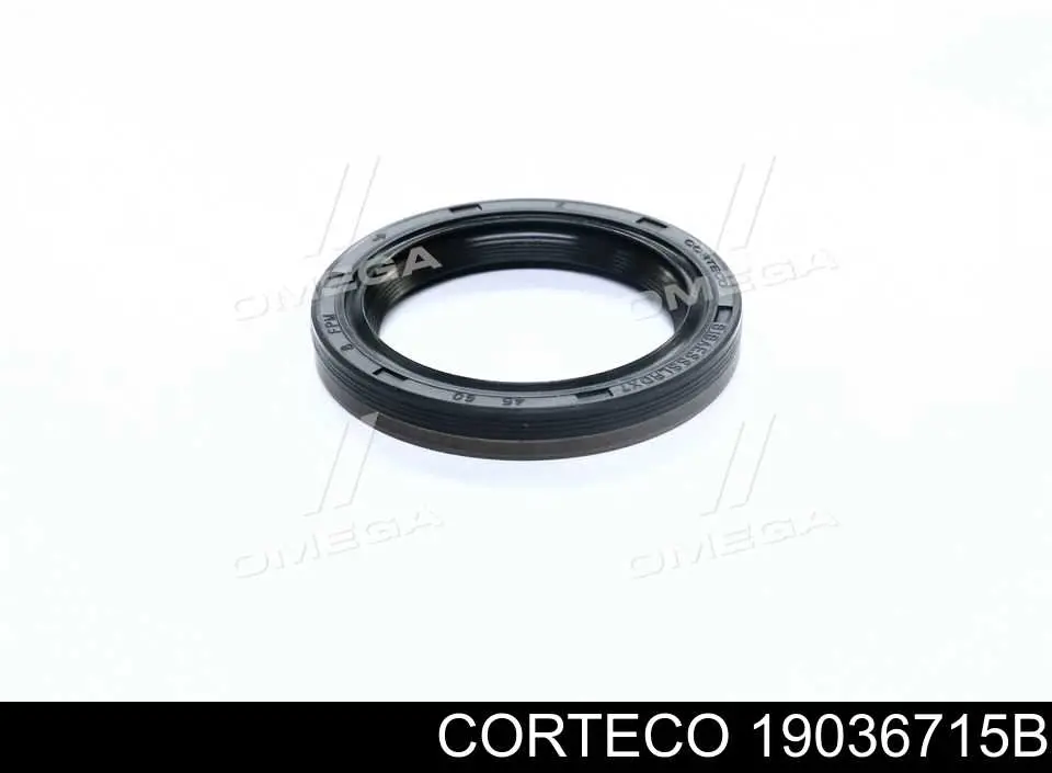Купить 19036715B Corteco Передний сальник коленвала