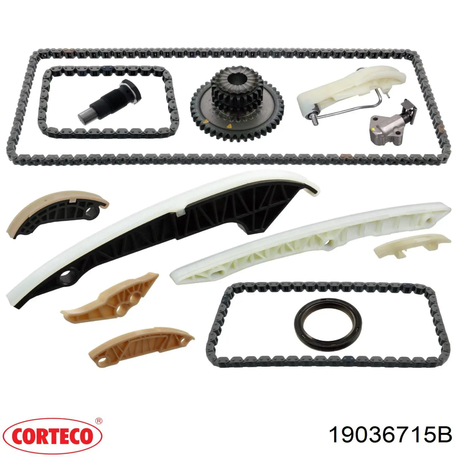 Сальник коленвала 19036715B Corteco