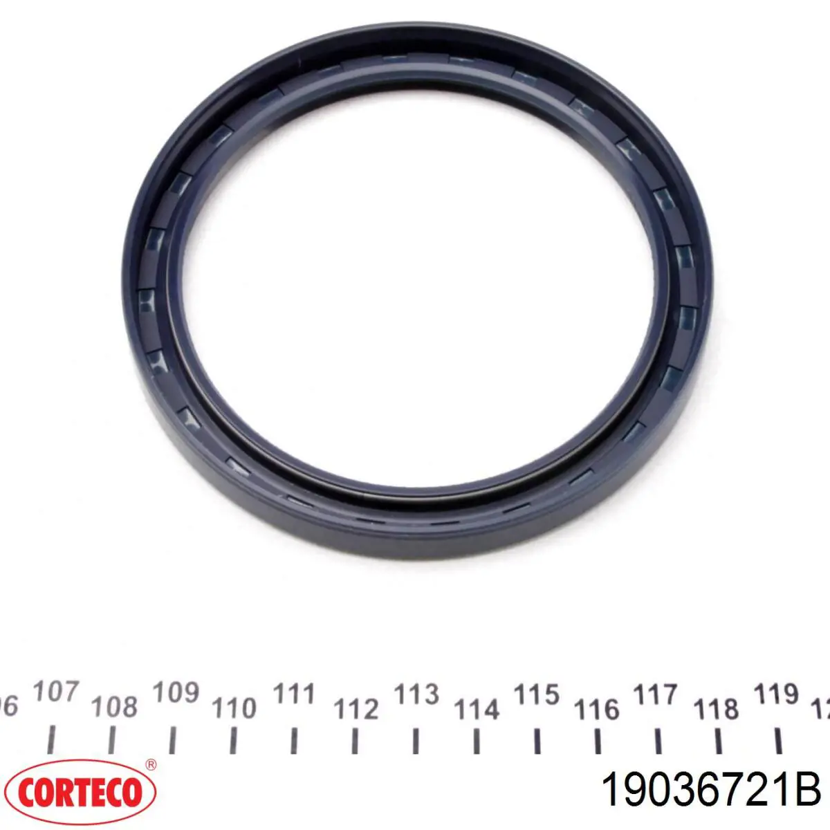 Сальник коленвала задний Corteco 19036721B цена, от 20.19 USD