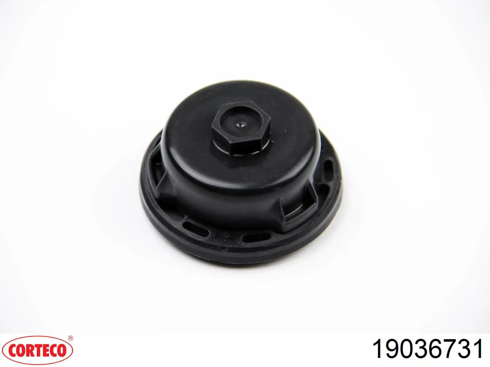 Сальник коленчатого вала Corteco 19036731 цена, от 16.41 USD