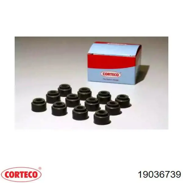 19036739 Corteco сальник клапана (маслосъёмный выпускного)