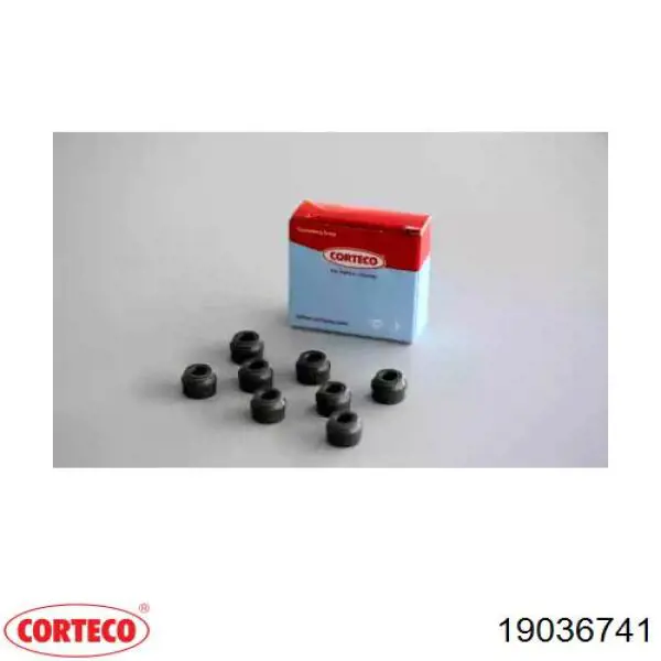 Купить 19036741 Corteco Маслосъемный колпачок (сальник клапана) впуск/выпуск, комплект на мотор