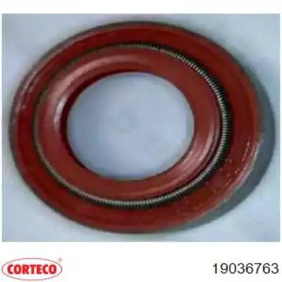 Сальники клапанов 40101874 Iveco