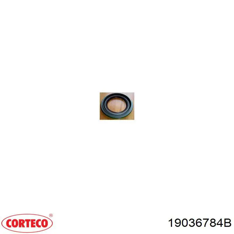 Сальник переднего поворотного кулака Corteco 19036784B цена, от 1.04 USD