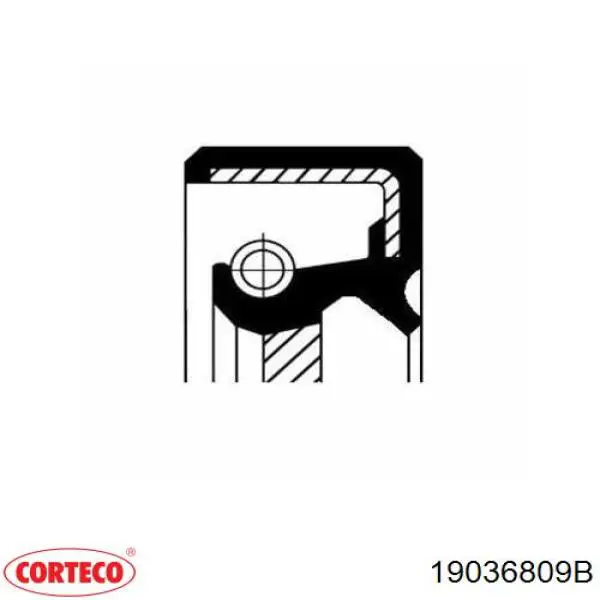 Сальник распредвала двигателя передний 19036809B Corteco