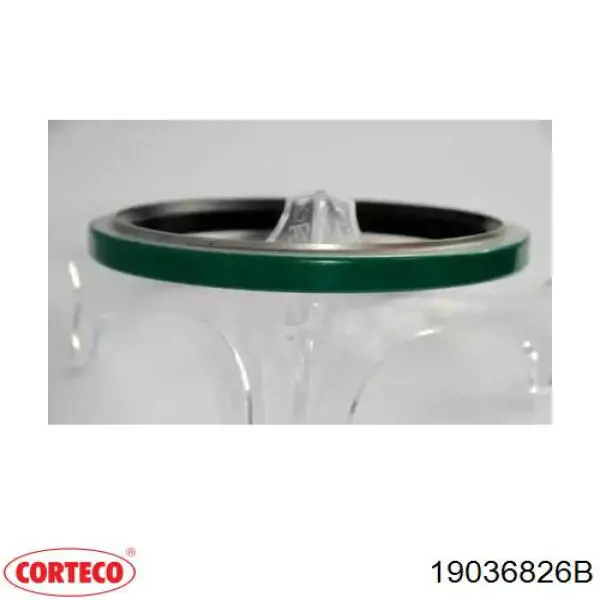 Уплотнительное кольцо, универсальное Corteco 19036826B цена, от 6.76 USD