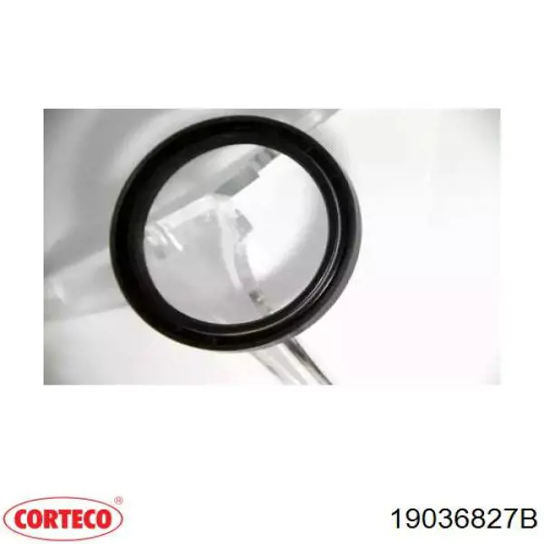Уплотнительное кольцо, универсальное Corteco 19036827B цена, от 4.77 USD