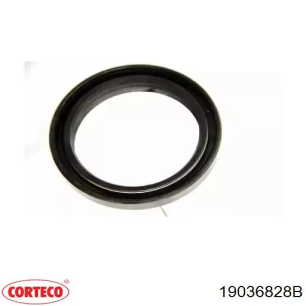 Уплотнительное кольцо, универсальное Corteco 19036828B цена, от 5.32 USD