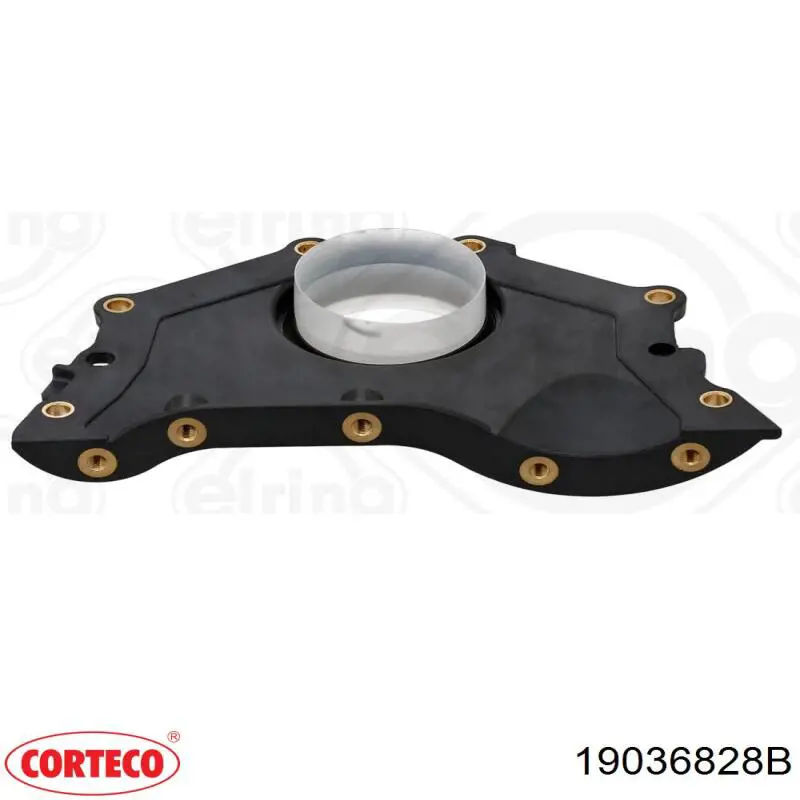 Купить 19036828B Corteco Уплотнительное кольцо, универсальное