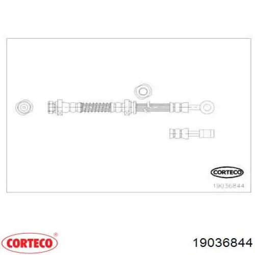 Шланг тормозной передний правый 19036844 Corteco