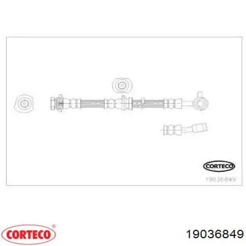Шланг тормозной передний правый 19036849 Corteco