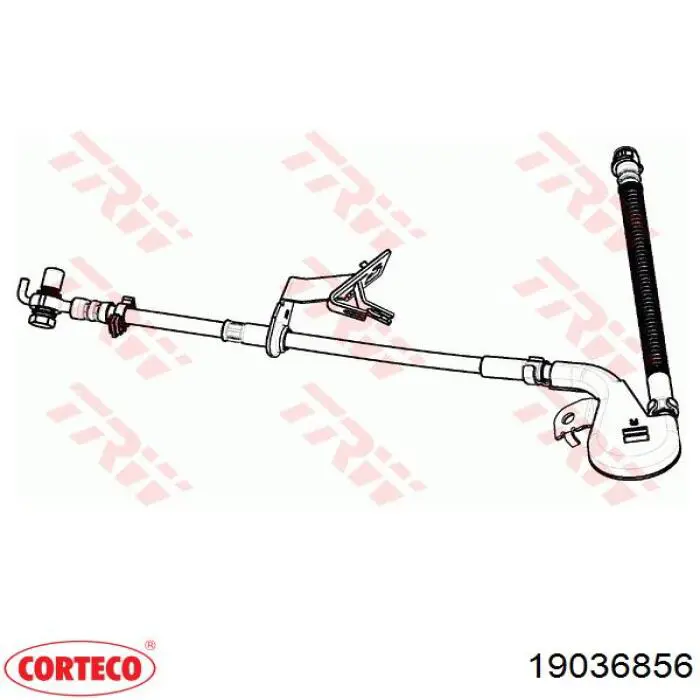 19036856 Corteco