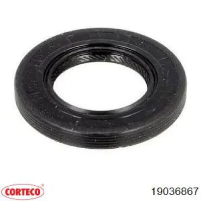 19036867 CORTECO Anillo Reten Caja De Cambios original y equivalente