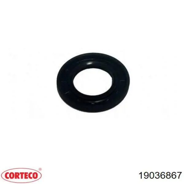 19036867 Corteco
