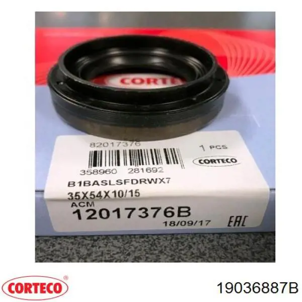 Купить 19036887B Corteco Сальник распредвала