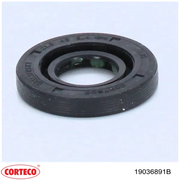 19036891B Corteco