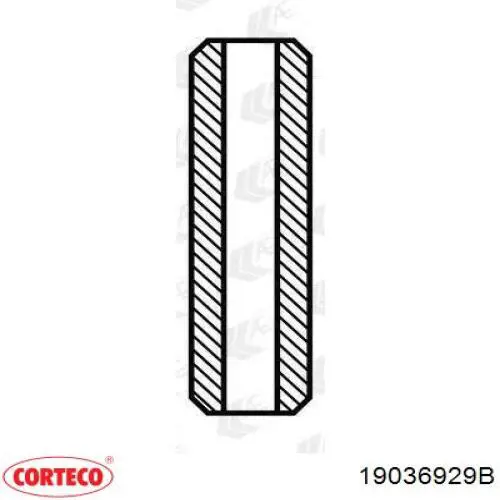 Уплотнительное кольцо, универсальное Corteco 19036929B цена, от 3.80 USD