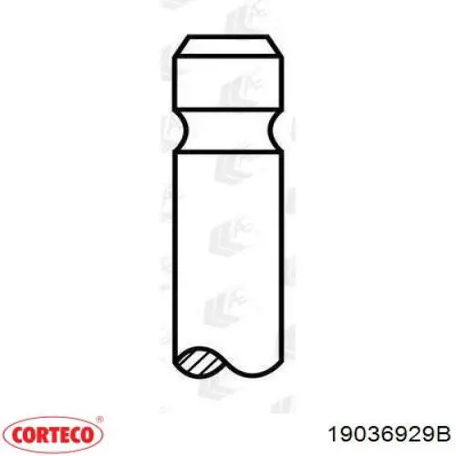 19036929B Corteco Уплотнительное кольцо, универсальное