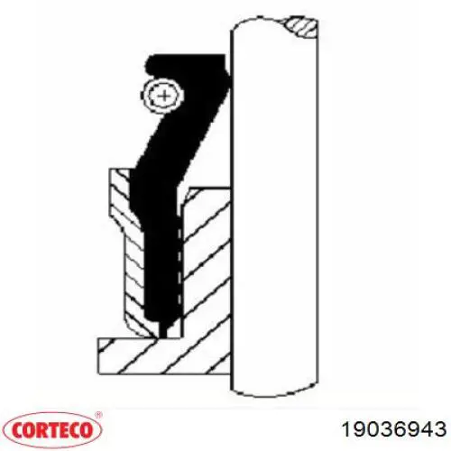 Сальник клапана (маслосъемный), впуск/выпуск 19036943 Corteco