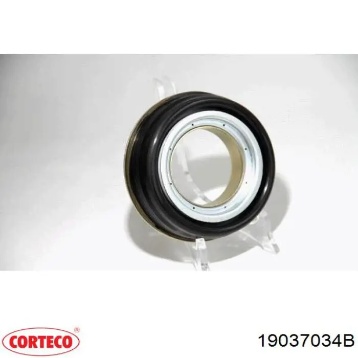 19037034B Corteco сравнить цены на Автопро