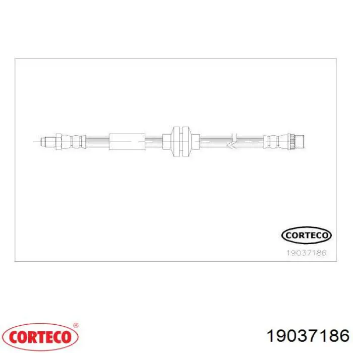 19037186 Corteco