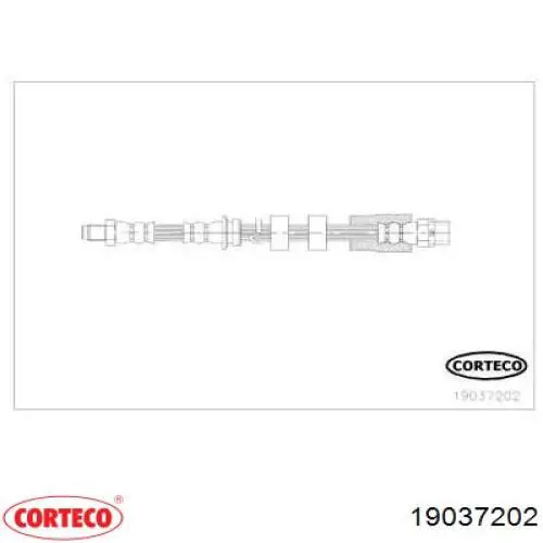 19037202 Corteco 
