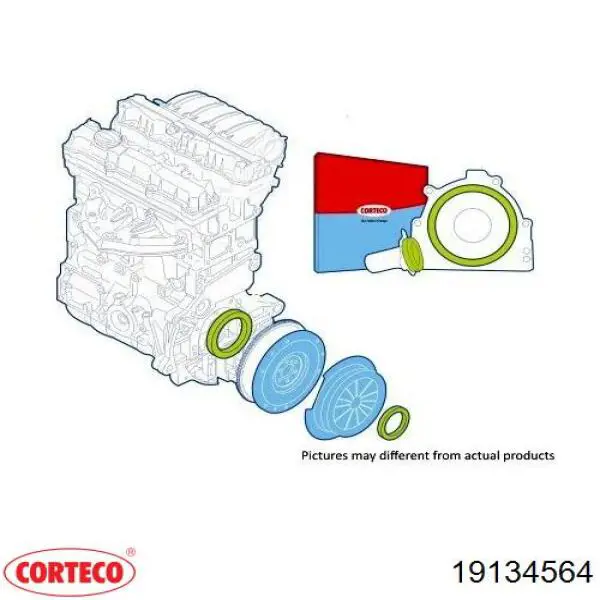 19134564 Corteco 
