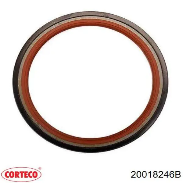 Сальник коленвала задний Corteco 20018246B цена, от 12.07 USD