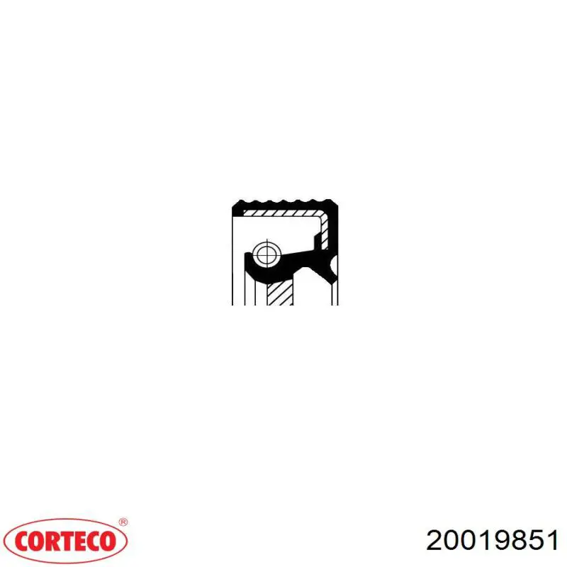 20019851 Corteco сальник коленвала двигателя передний