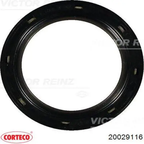Vedação dianteira de cambota de motor 20029116 Corteco