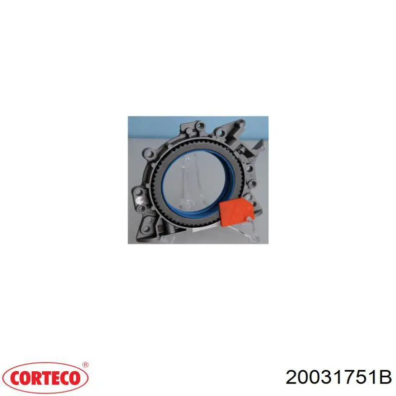 Купить 20031751B Corteco Сальник коленвала задний