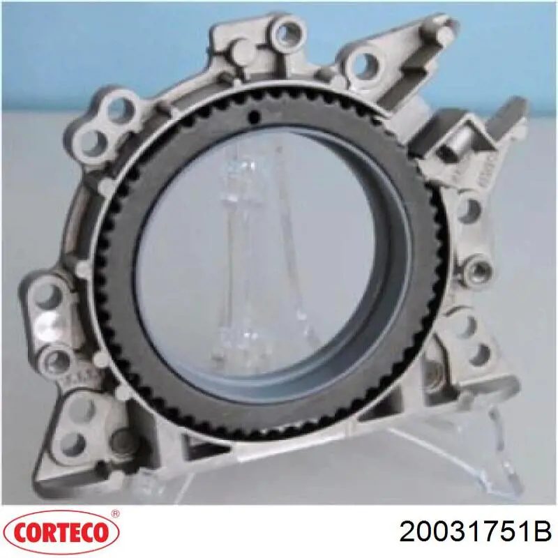 Купить 20031751B Corteco Сальник коленвала задний