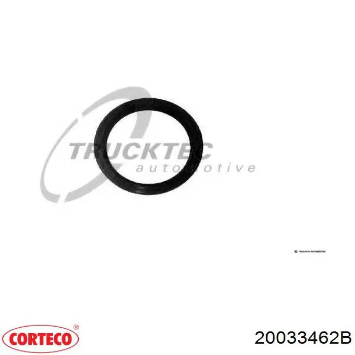 Купить 20033462B Corteco Сальник коленвала задний
