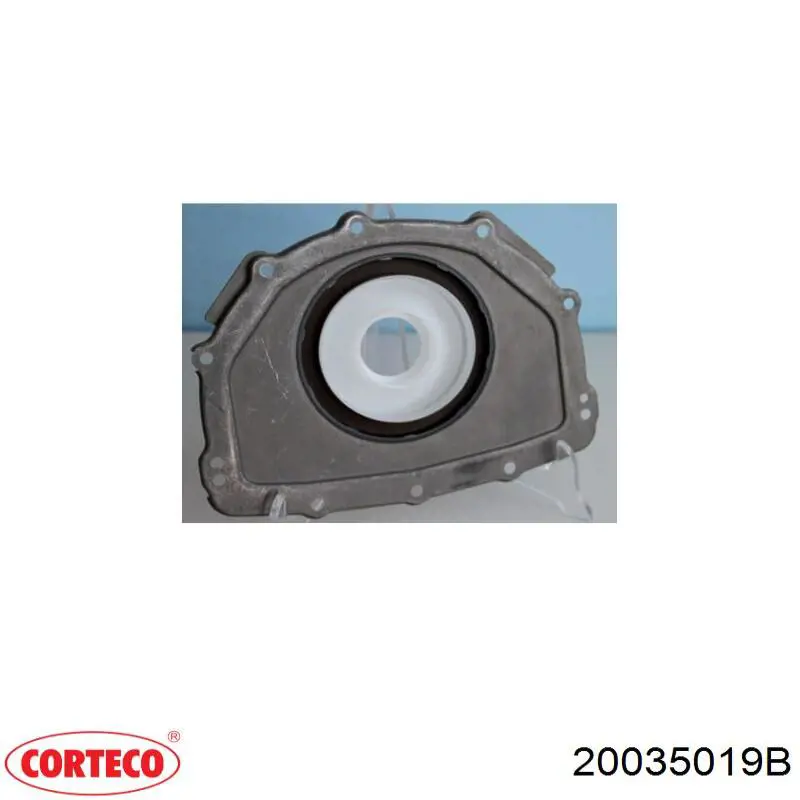 Сальник коленвала коренной Corteco 20035019B
