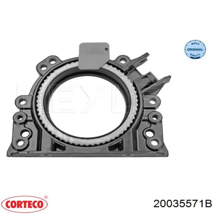 Сальник колінвала двигуна, задній 20035571B Corteco