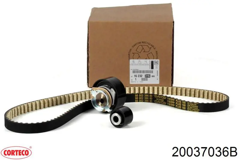 Купить 20037036B Corteco Сальник коленвала задний