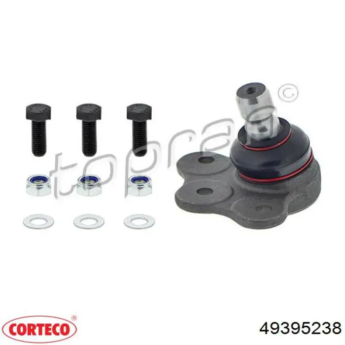 Шаровая опора, нижняя Corteco 49395238 цена, от 9.38 USD