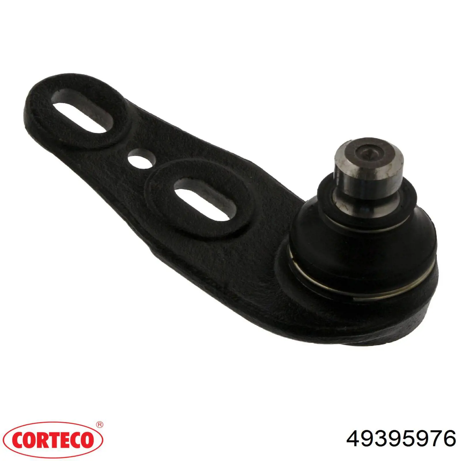 Нижняя правая шаровая опора Corteco 49395976 цена, от 13.30 USD