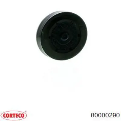 Заглушка ГБЦ/блока цилиндров CORTECO 80000290