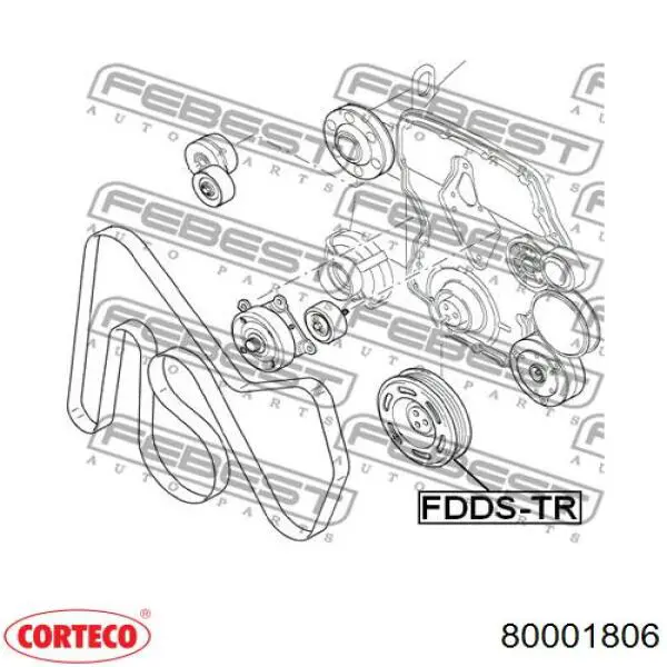 Шкив коленвала (демпфер) Corteco 80001806 цена, от 32.57 USD