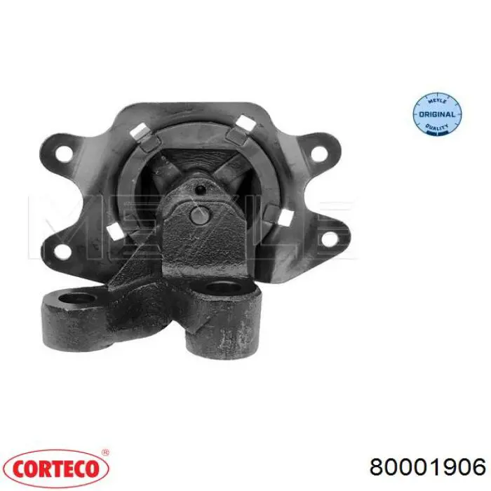 80001906 Corteco
