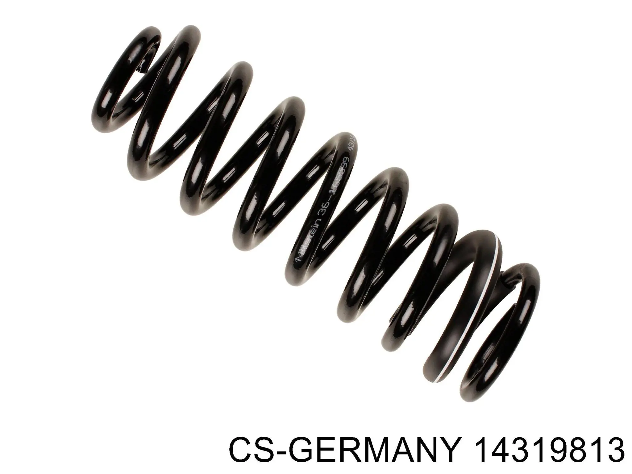 14319813 CS Germany