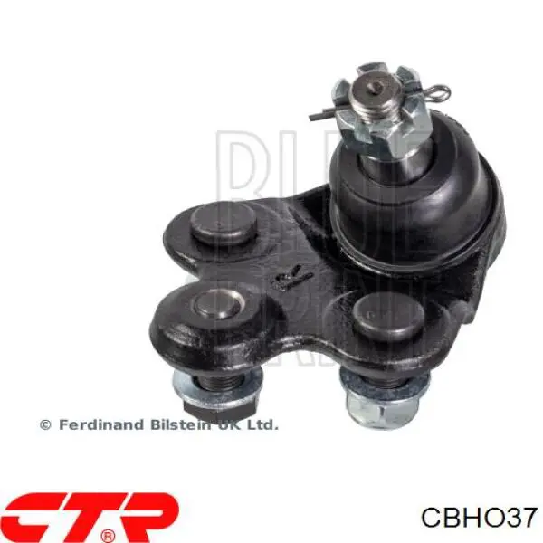 Купить CBHO37 CTR Шаровая опора, нижняя, правая