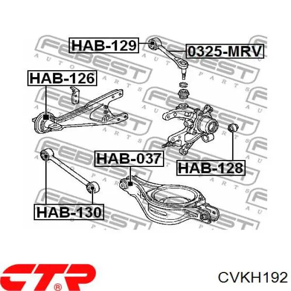 CVKH192 CTR Сайлентблок заднего поперечного рычага